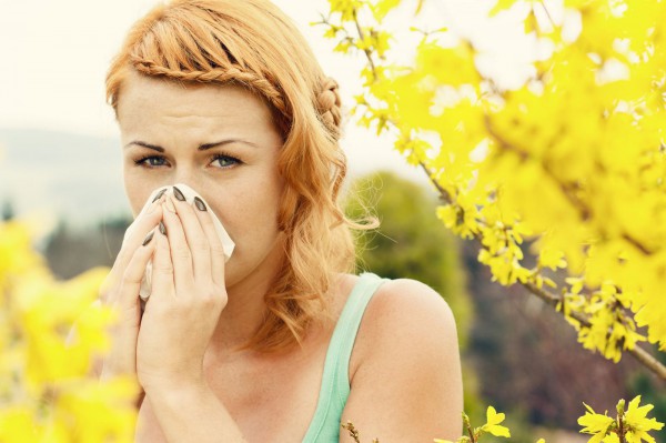 www_prahranhealthfoods_com_au_allergia_2016