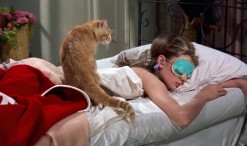 alvasss_themidult_980x480