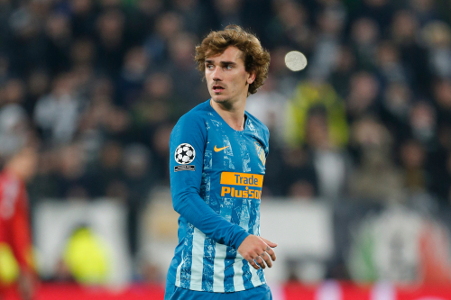 Fotó: cristiano barni / Shutterstock.com