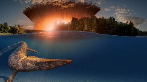 2020_1_27_dino